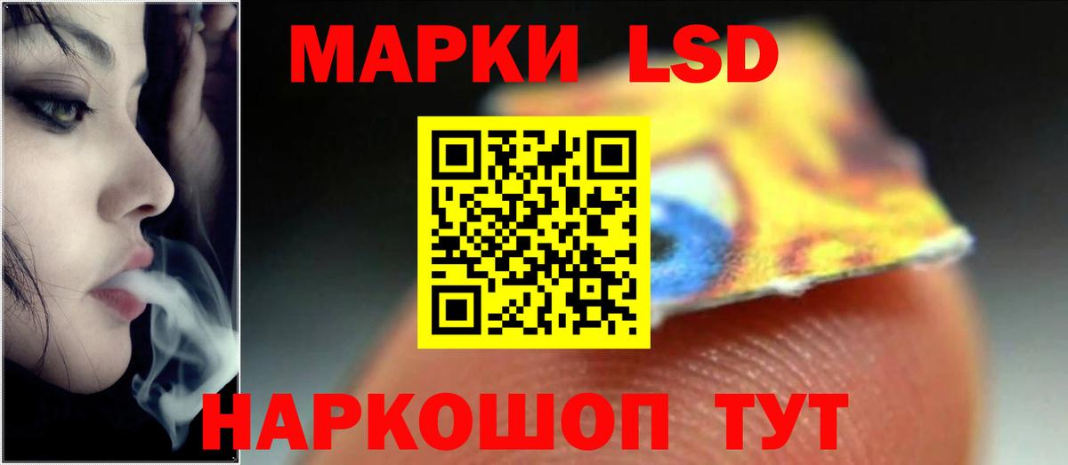 Бердск  Лсд 25 экстази кислота  LSD-25 экстази кислота  Вход с VPN 
