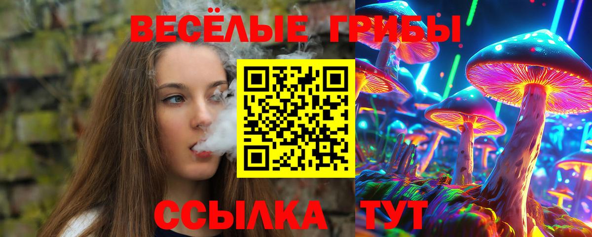 Галлюциногенные грибы Cubensis Бердск