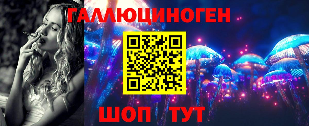 Псилоцибиновые грибы Magic Shrooms  Вход с VPN  сколько стоит  Бердск 